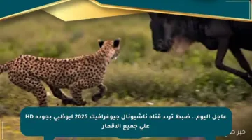 عاجل اليوم.. ضبط تردد قناة ناشيونال جيوغرافيك 2025 أبوظبي بجودة HD على جميع الأقمار